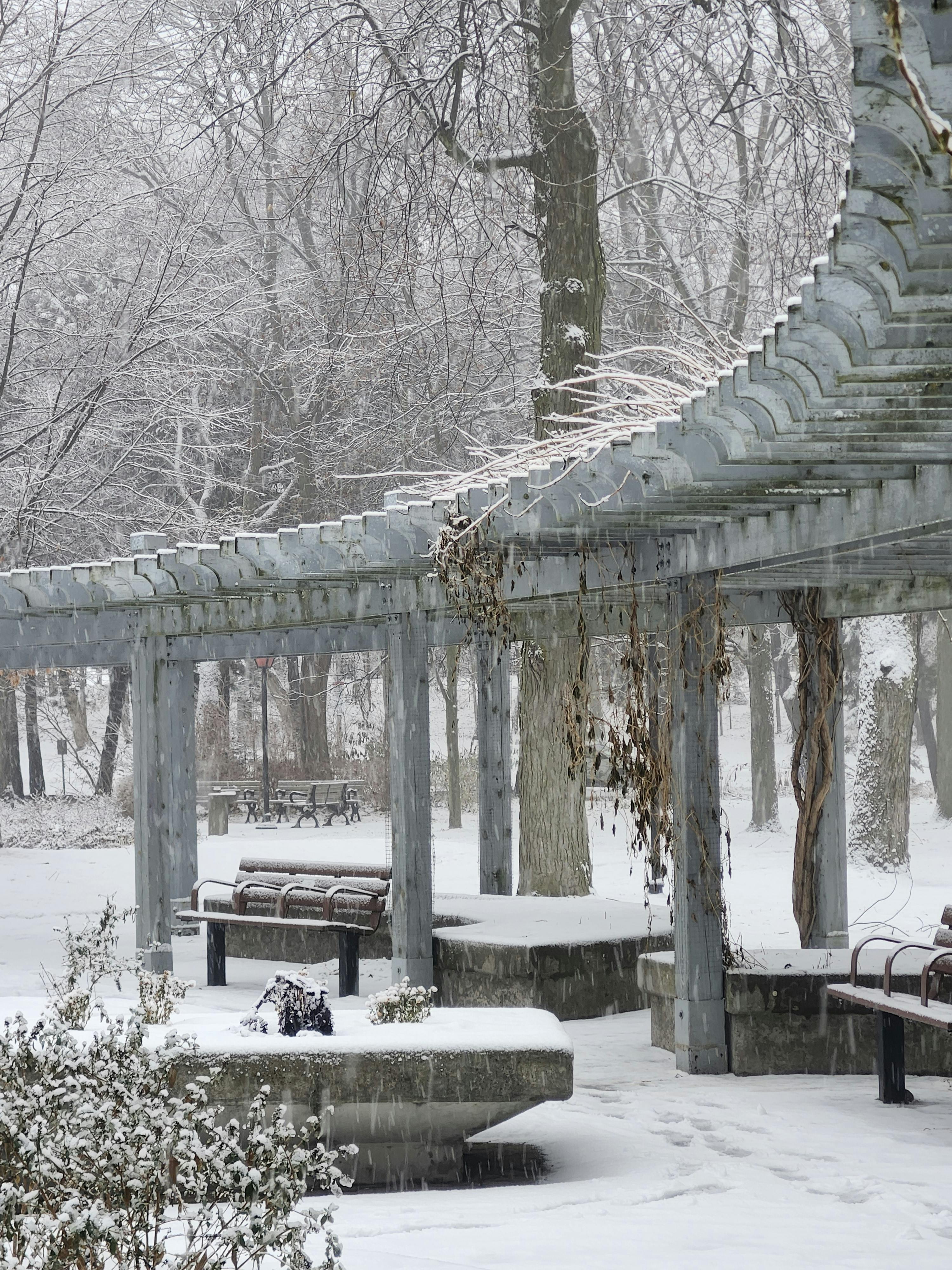 Once Upon a Christmas Crown Filming Locations: Everything You Need to Know