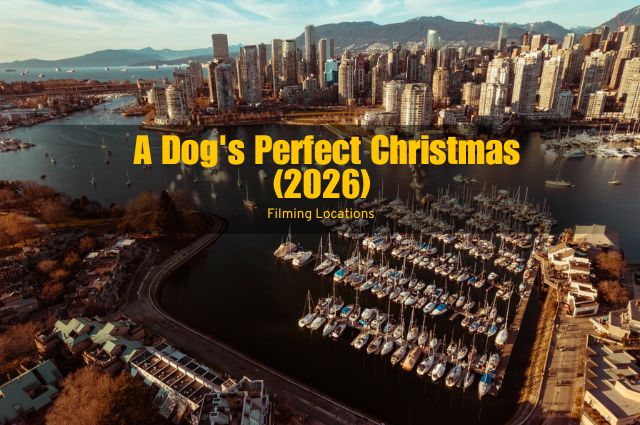 a dog's perfect christmas 2026 movie