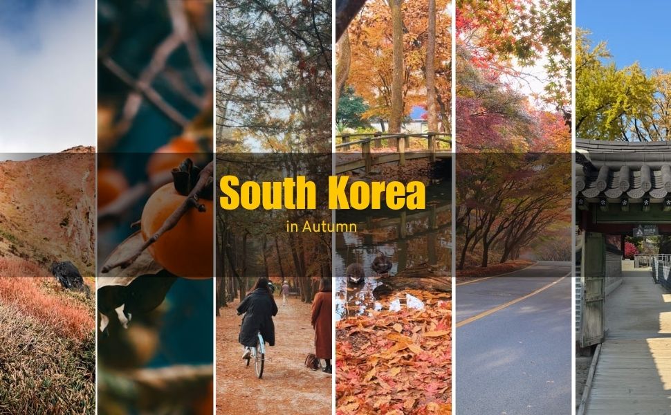 Things to Do in South Korea in Autumn: Foliage, Festivals & a Season-by-Season Guide