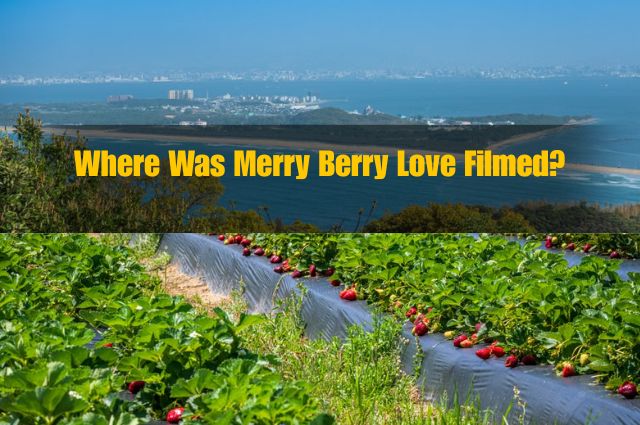Where Was Merry Berry Love Filmed?