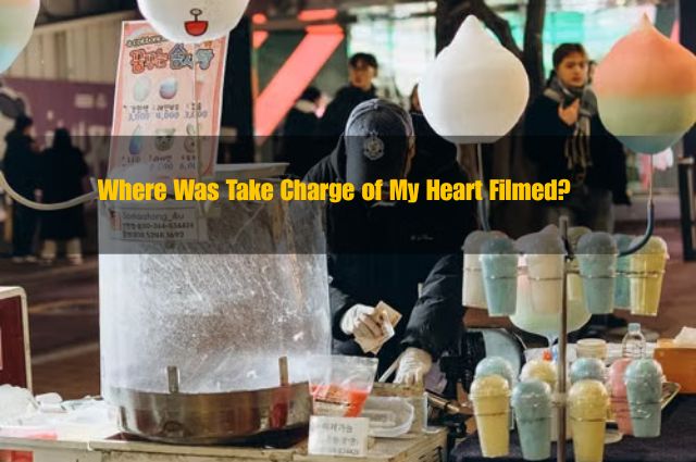 Where Was Take Charge of My Heart Filmed? Seoul and Jeju Settings